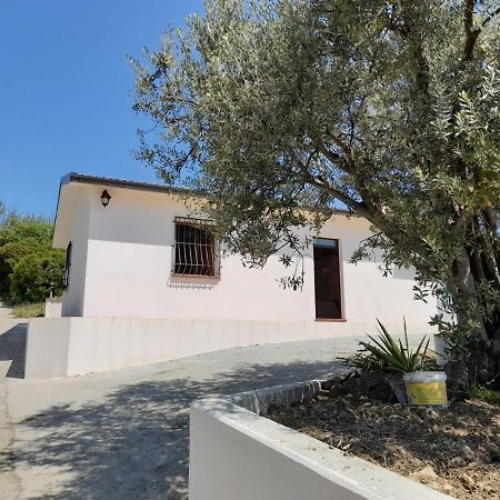 Villa Paradiso 蒙泰焦尔达诺 外观 照片