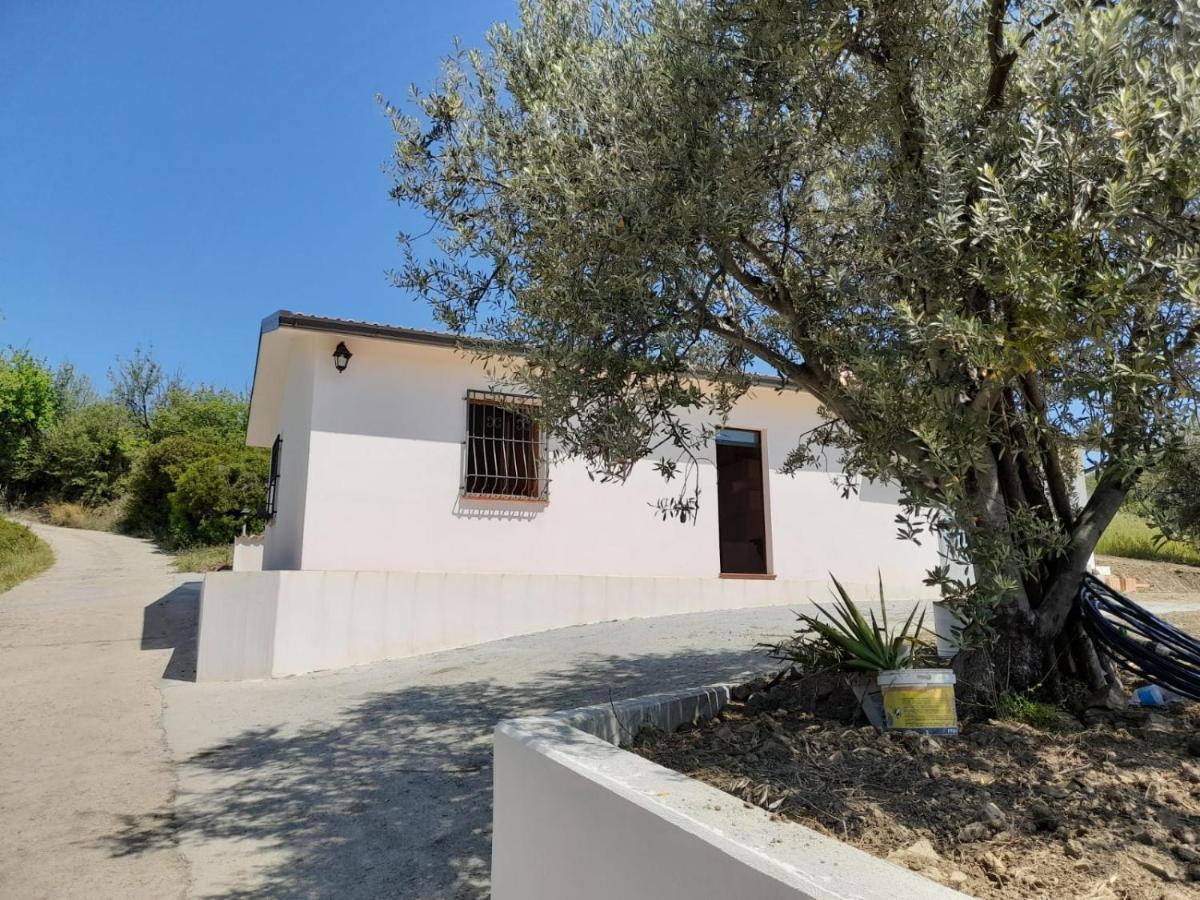 Villa Paradiso 蒙泰焦尔达诺 外观 照片
